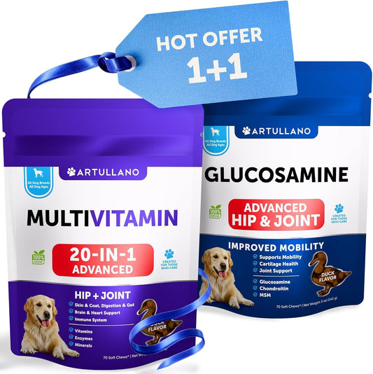 20 in 1 Dog Multivitamin + Glucosamine Chews Bundle - Chewable Vitamins for Hip & Joint Support, Immunity, Mobility, Skin & Digestion - Chondroitin, MSM