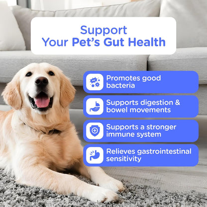 Probiotics for Dogs – Digestive & Immune Support Chews with Probiotics – Natural Gut Health Supplement for Diarrhea, Gas & Allergies (120 Count)