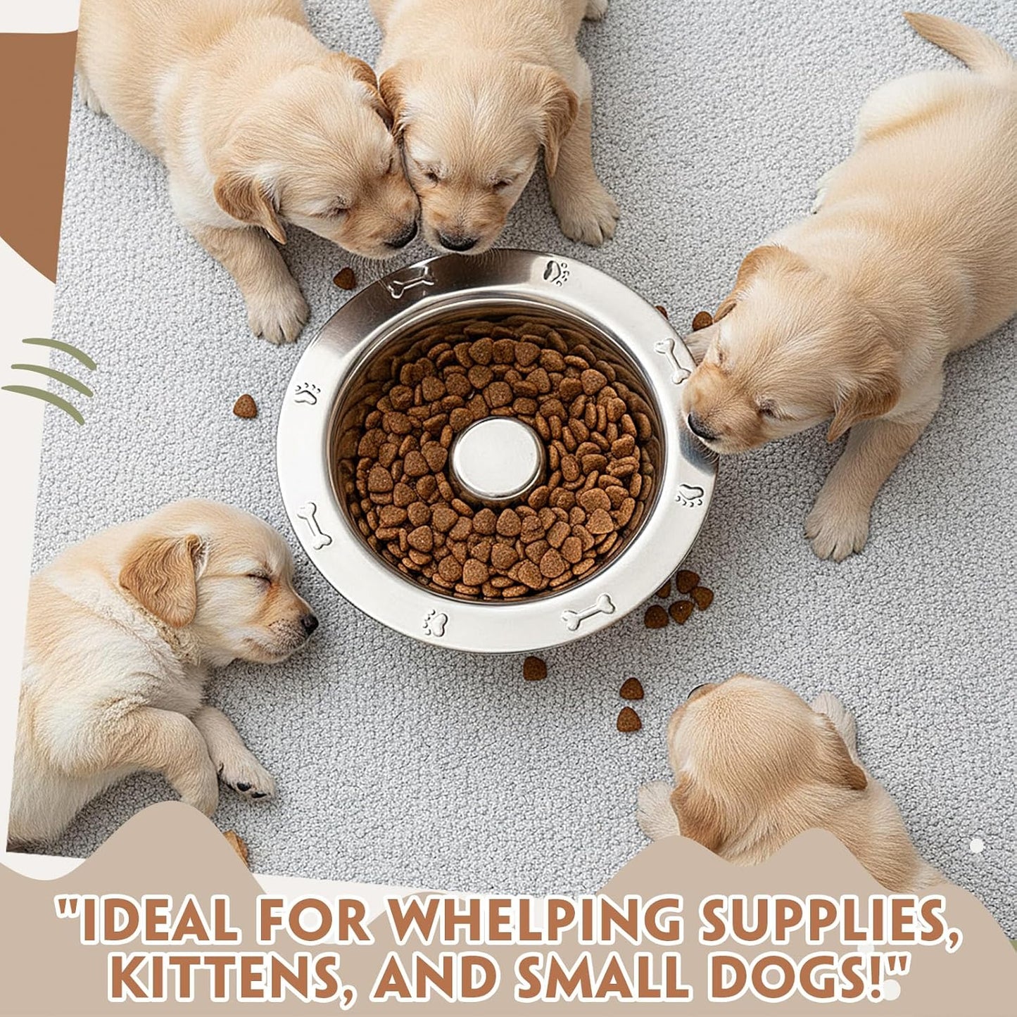 8 Pcs Small Stainless Steel Puppy Bowls Bulk 6 Inch Puppy Feeding Weaning Bowls Slow Feeder Cat Rabbit Multiple Puppies Feeder Whelping Dishes Set for Small Dogs, Kittens, Whelping Supplies