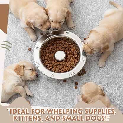 8 Pcs Small Stainless Steel Puppy Bowls Bulk 6 Inch Puppy Feeding Weaning Bowls Slow Feeder Cat Rabbit Multiple Puppies Feeder Whelping Dishes Set for Small Dogs, Kittens, Whelping Supplies