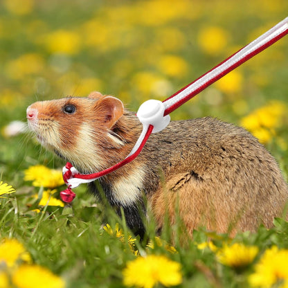 5 Pieces Adjustable Hamster Rat Leash Hamster Harness Small Animal Bell for Ferret Walking Pet Mouse Gerbil Small Animal