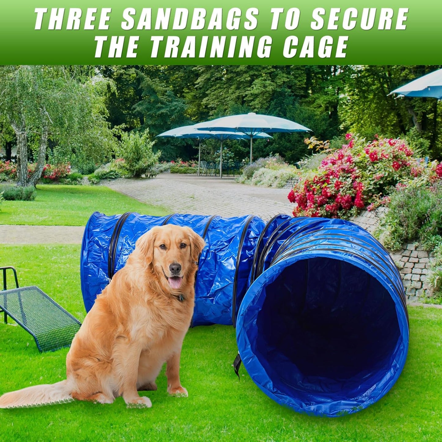 24 in 10 Foot PVC Dog Agility Tunnel with Sandbags Dogs Agility Training Equipment Tunnel with 2 Pack Sandbags, Carry Bag and 4 Ground Spikes for All Medium and Large Dogs Outdoor Sports