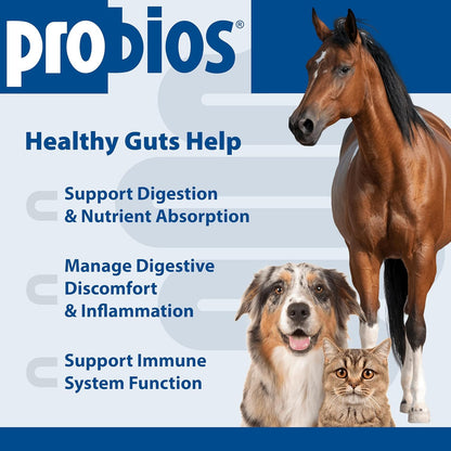 Probios Digestive Support Probiotic for All Species, Probiotics for Gut Health, Dispersible Powder, 5 lbs (Pack of 2)