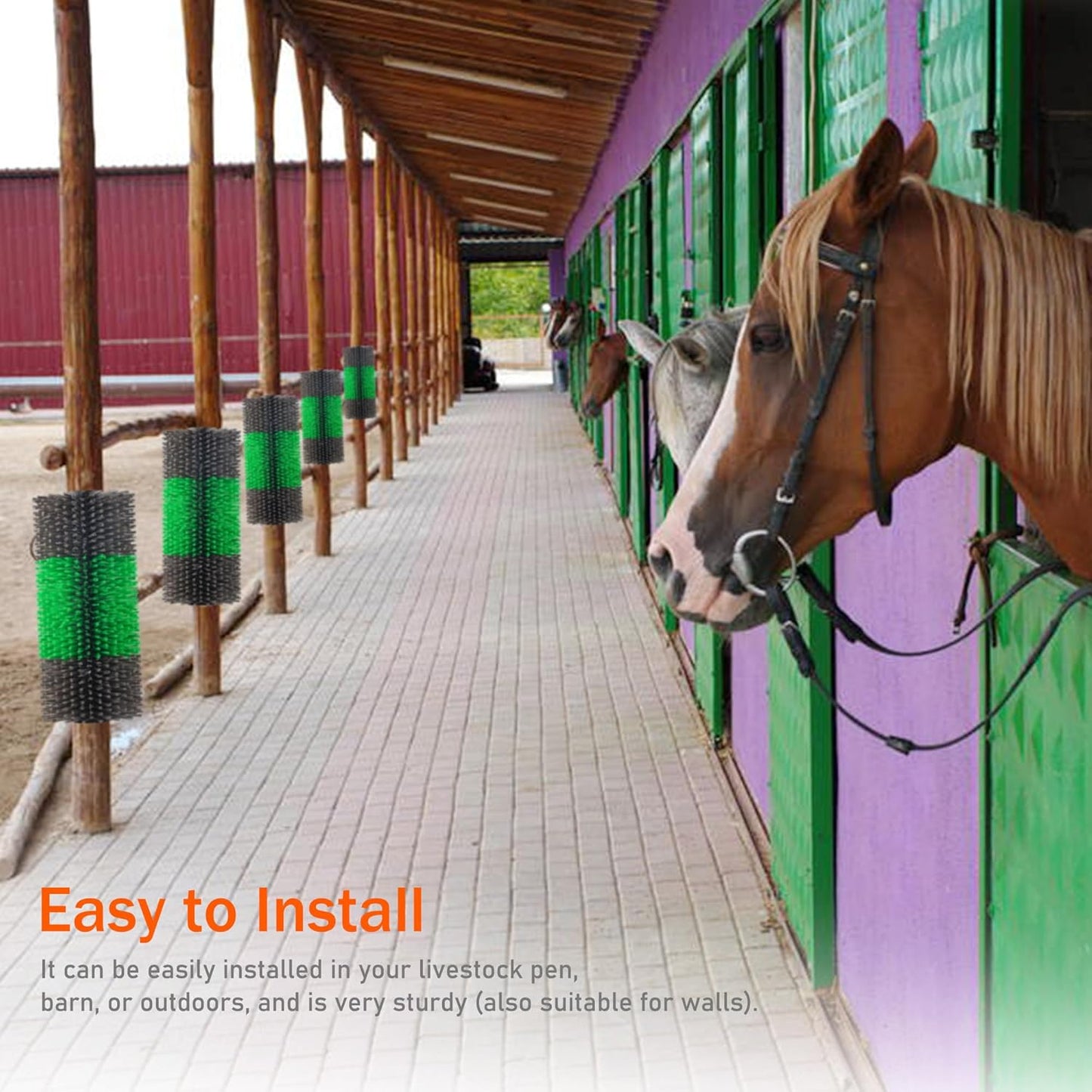 4PCS Livestock Scratch Brushes, Green (Including 304 Stainless Steel Screws, Best Firm Bristle Brushes, Suitable for Horses, Cows, Sheep, Pigs, Deer etc.)