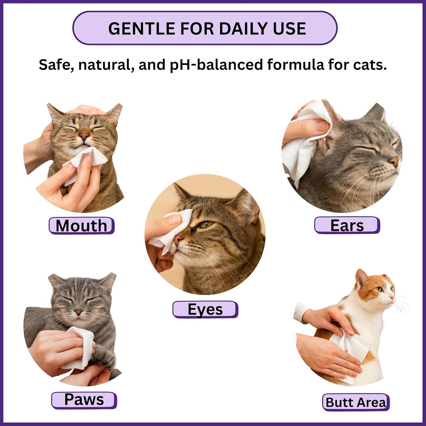 Aurora Pet Grooming Wipes – 400 Extra-Large Wipes for Dogs & Cats | Plant-Based, Hypoallergenic & All-Natural | Alcohol, Paraben & Sulfate-Free | Lavender Scent