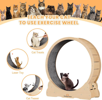 Homegroove 35.4 Inch Cat Exercise Wheels for Indoor Cats, Versatile Cat Toy Running Wheel Treadmill with Detachable Carpet for Weight Loss and Health, Natural Wood Color(M)