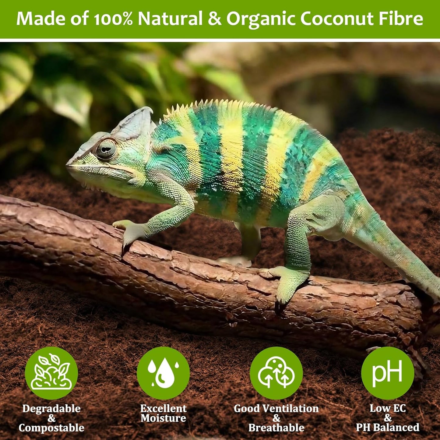 Riare 4 Pack Natural Coconut Fiber Substrate for Reptile- Premium Compressed Coconut Husk Terrarium Bedding for Reptile, Tortoise, Frogs, Snakes Hermit Crabs, Burrowing Animals