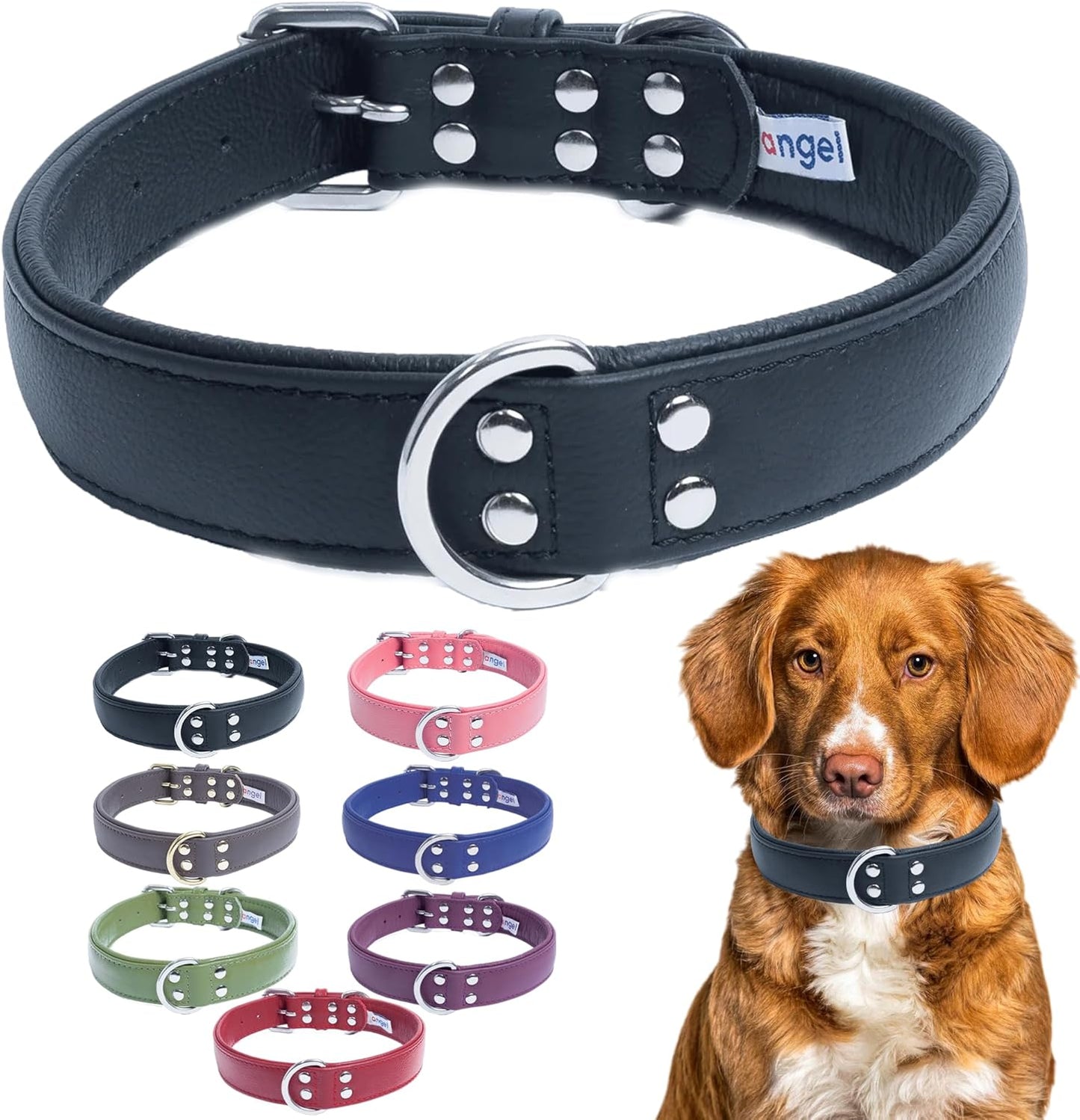 Angel Pet Supplies Alpine Plain Dog Collar by Angel. 26 X 1.25, Midnight Black, 41040
