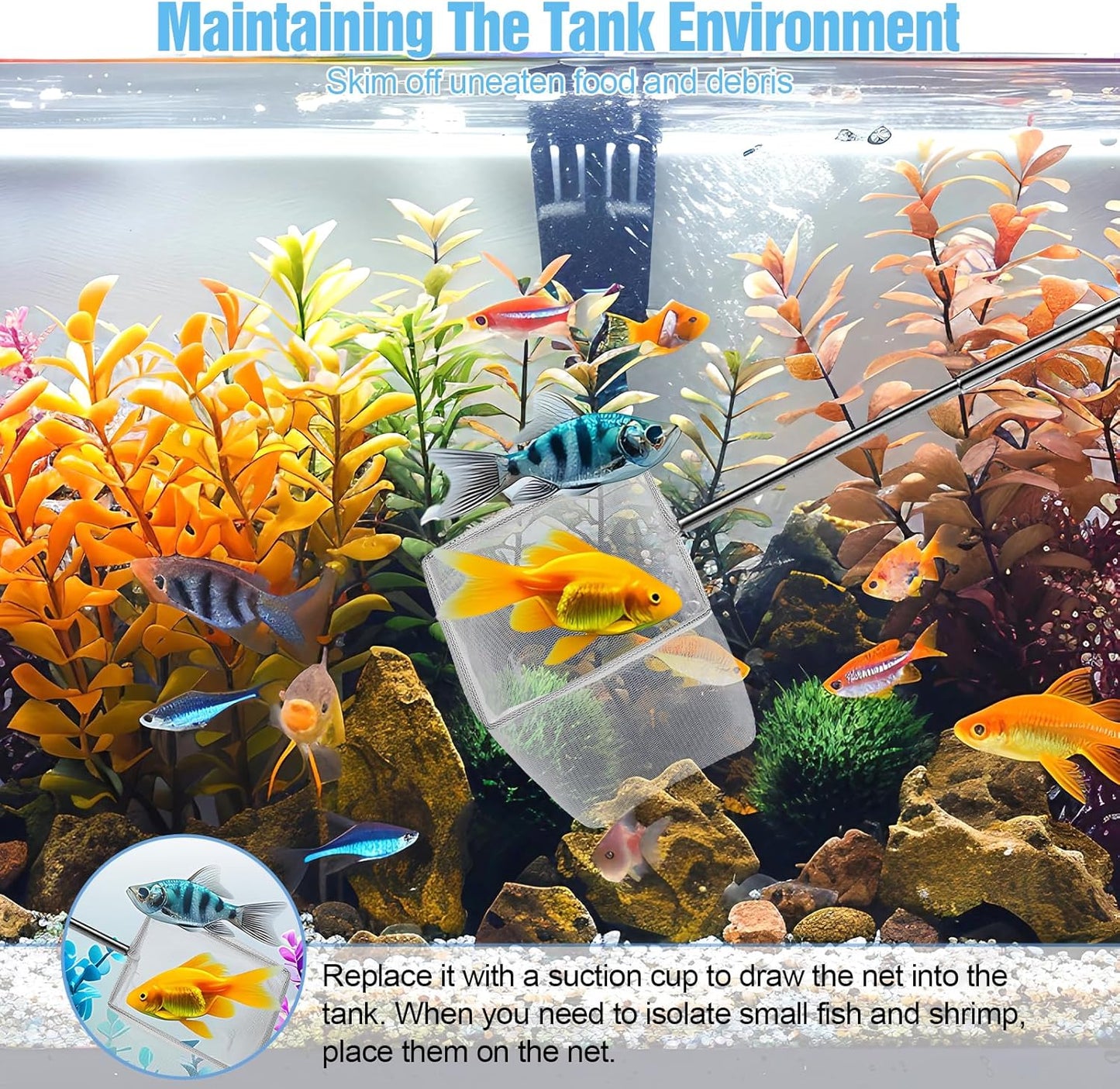 2 Pack Fish Tank Net 3 Inch Square Small Fish Net with Extendable Stainless Steel Handle Fine Mesh Shrimp Nets for Aquarium Tank Pond Bettas Debris Skimming