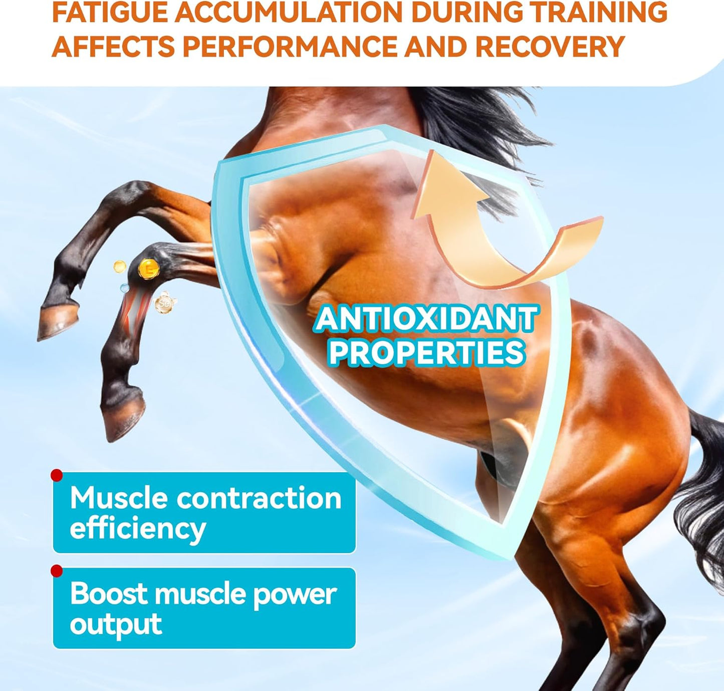 Natural Vitamin E & Selenium for Horses Muscle Build Support for Active Horses Equine Vitamin E Powder Supplement 30-Day Supply