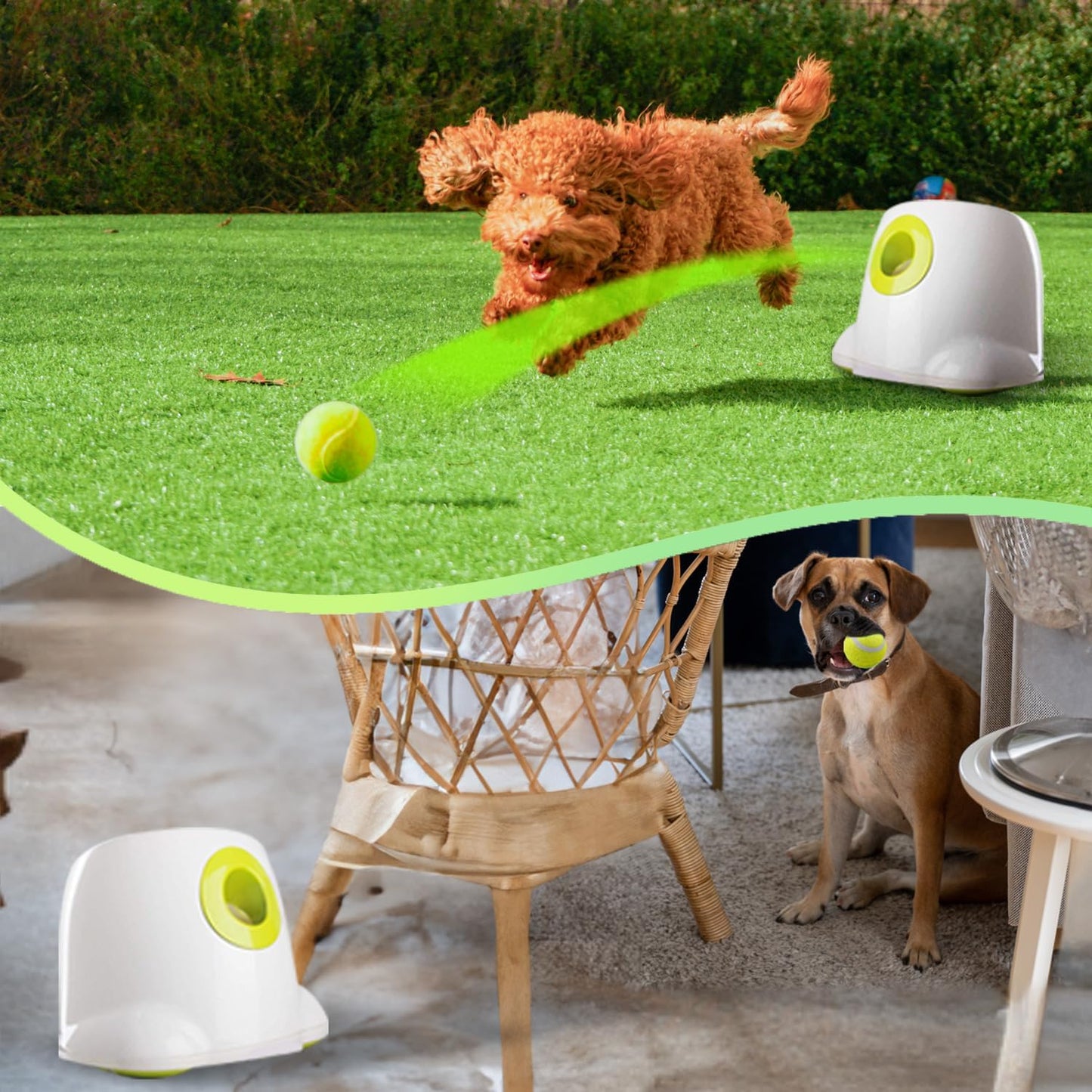 ALL FOR PAWS Automatic Ball Launcher for Dogs Interactive Puppy Pet Ball Indoor Thrower Fetch Machine, 3 Balls Included (2 inch) for Small to Medium Dogs