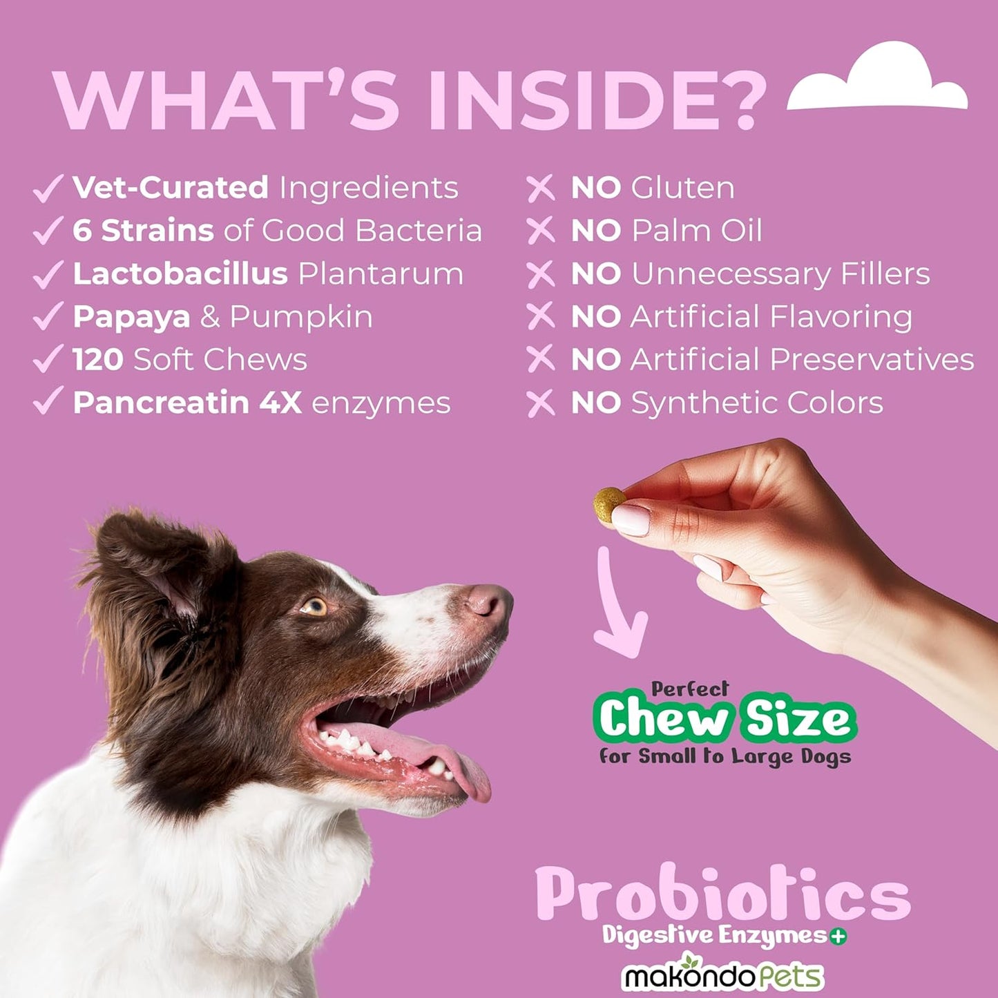 Probiotics for Dogs - 120 Dog Probiotics Chews - Digestive Enzymes & Pumpkin - Support Gut Health, Gas, Diarrhea & Constipation Relief - Itchy Skin, Yeast Balance, Allergies - Pet Advanced Supplements
