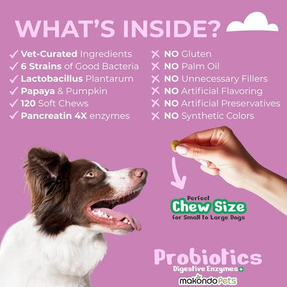 Probiotics for Dogs - 120 Dog Probiotics Chews - Digestive Enzymes & Pumpkin - Support Gut Health, Gas, Diarrhea & Constipation Relief - Itchy Skin, Yeast Balance, Allergies - Pet Advanced Supplements