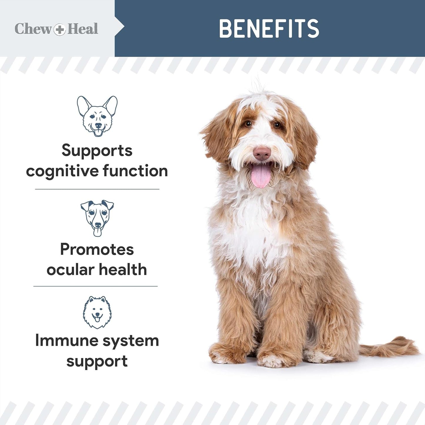 Chew + Heal Labs Senior Dog Vision and Cognition Chews - 60 Soft Chews for Dog Eye Care and Memory - 7-in-1 Multivitamin with Omega Fatty Acids, Vitamins, and Botanicals - Made in The USA