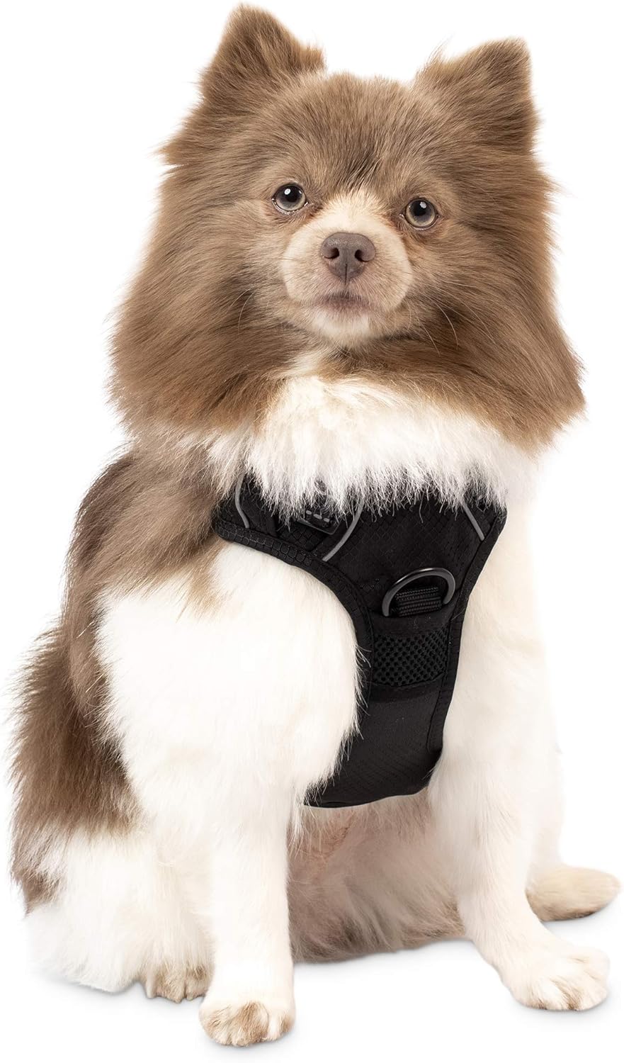 Pet Craft Supply Premium Dog Harness - Small