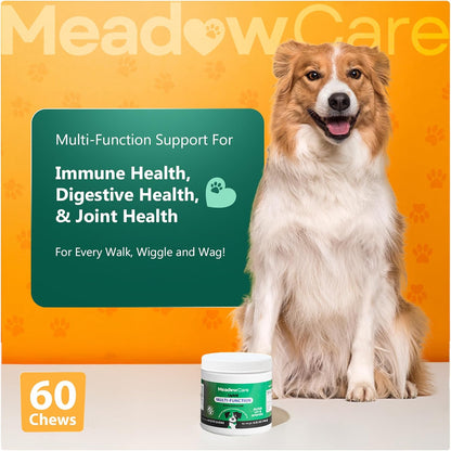 Multi-Function Supplement for Dogs | Supportive Daily Nutritional Soft Chews | Joint Mobility, Skin & Coat | Immune Support with Probiotics | 60 Count, 180 g (6.35 oz) | by Meadowcare