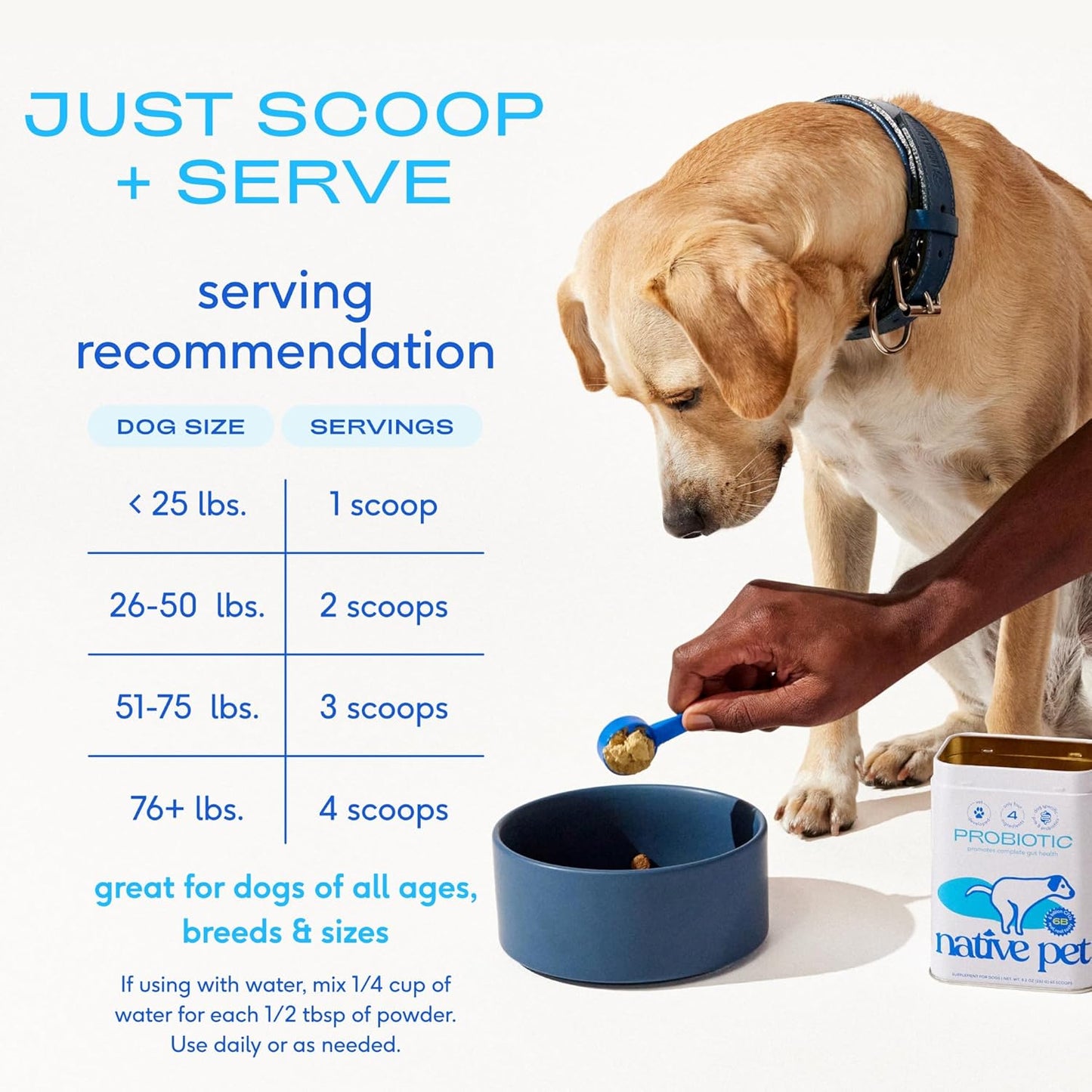 Native Pet Probiotics for Dogs - Dog Probiotics Powder for Digestive Health, Gut Support, & Immune Boost – Vet-Formulated Powder for Maximum Potency with Digestive Enzymes & Prebiotics - 30 Scoops