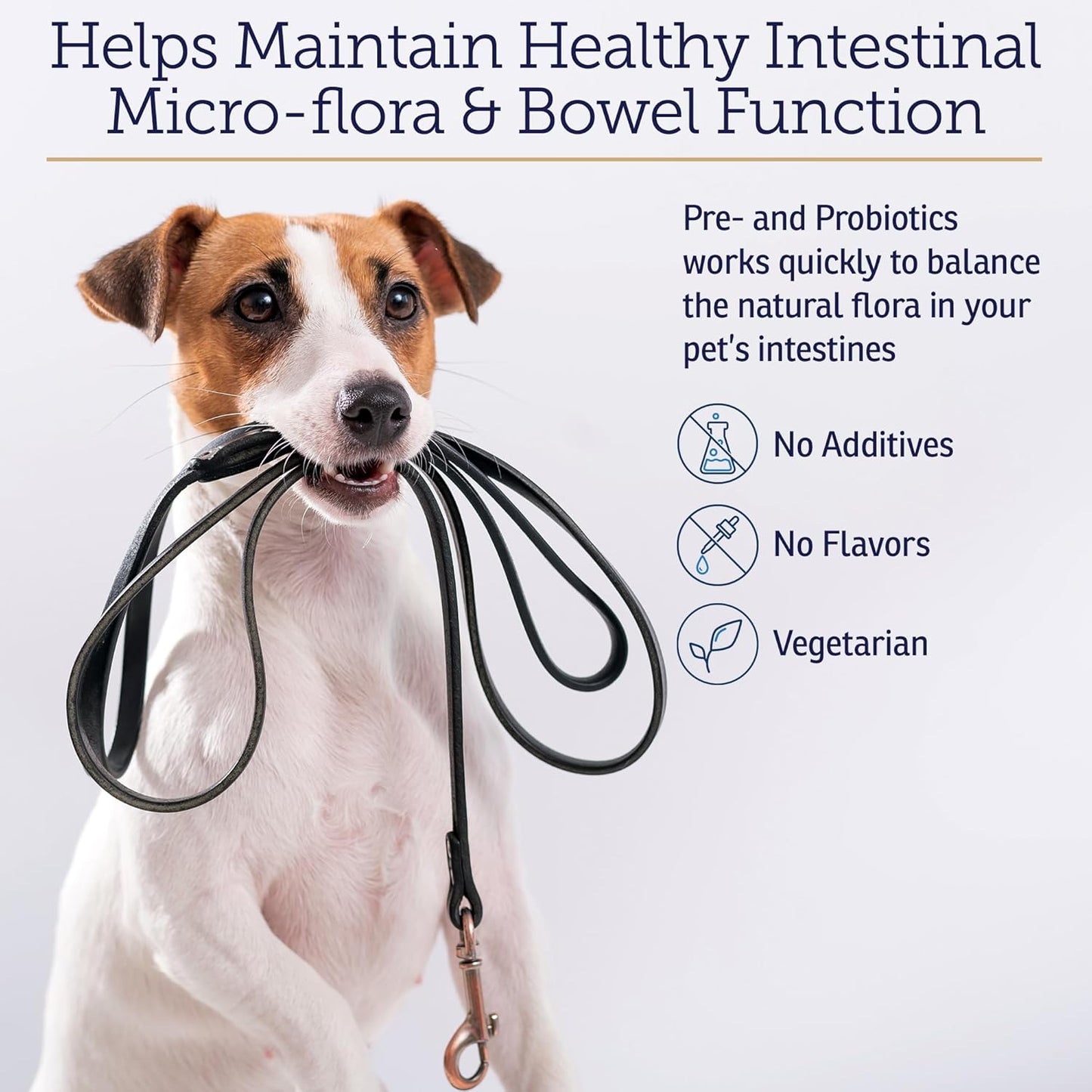 Rx Vitamins Rx Biotic - Probiotic Powder for Dogs and Cats - Cat Digestive Support & Probiotic for Dogs Gut Health - Dog Probiotics for Digestive Health - 1.25oz