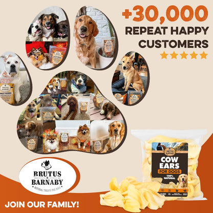 BRUTUS & BARNABY Cow Ears for Dogs – Whole Ears 12 ct, Thick Cut, Grass-Fed Angus Beef, All-Natural No-Rawhide Dog Treat Alternative