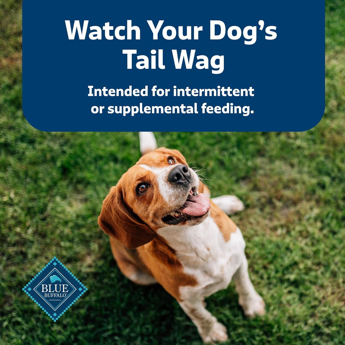 Blue Buffalo Health Bars Crunchy Dog Biscuits, Oven-Baked with Natural Ingredients, Pumpkin & Cinnamon, 16-oz Bag