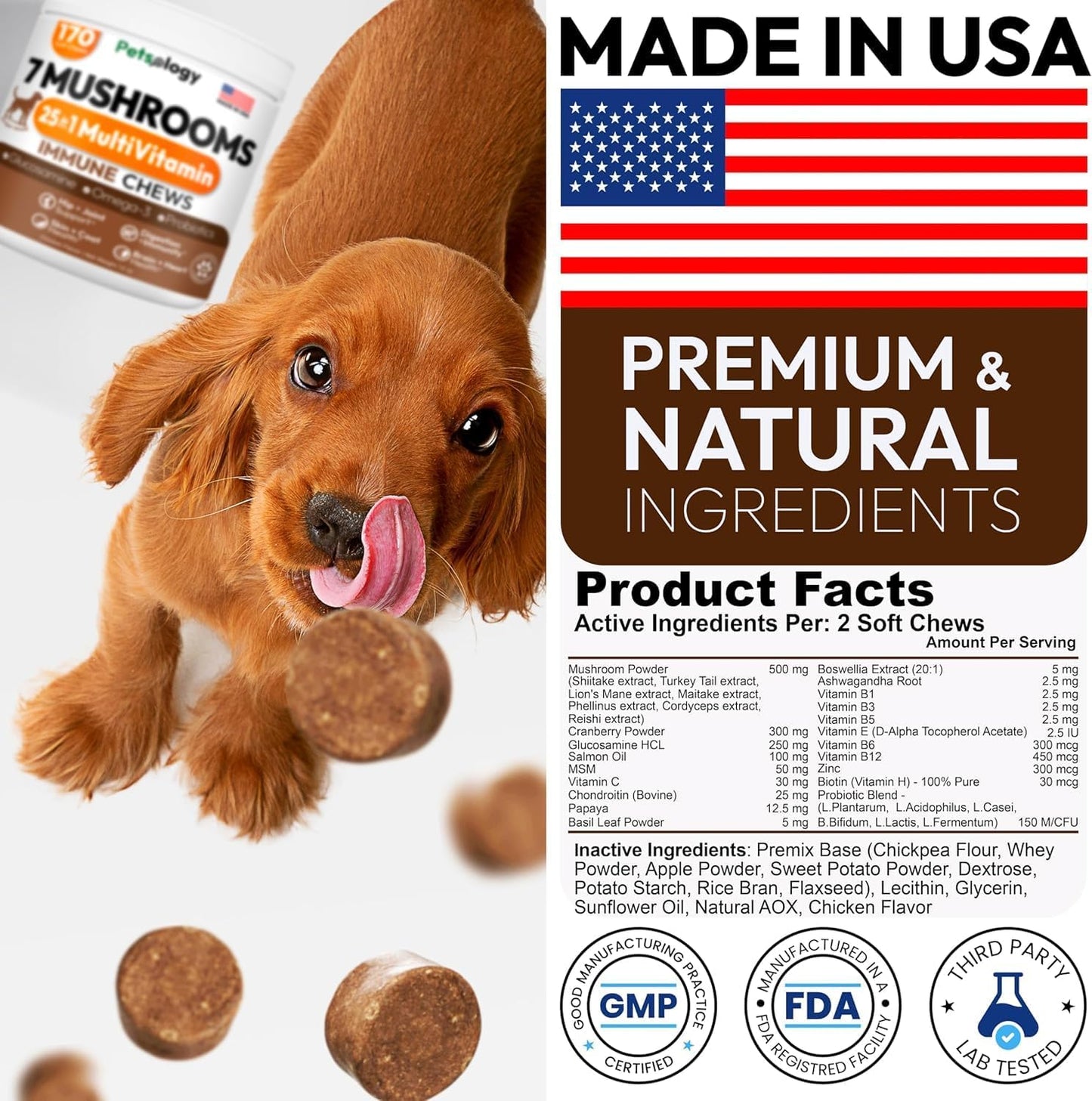 Turkey Tail Mushroom for Dogs - 170 Chews - Lion’s Mane - Shiitake - Reishi - Buddy Immune Support Guard - Mushroom Supplement for Dogs Lumps and Bumps Glucosamine, Health Vitamins Multivitamin