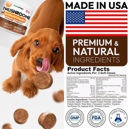 Turkey Tail Mushroom for Dogs - 170 Chews - Lion’s Mane - Shiitake - Reishi - Buddy Immune Support Guard - Mushroom Supplement for Dogs Lumps and Bumps Glucosamine, Health Vitamins Multivitamin