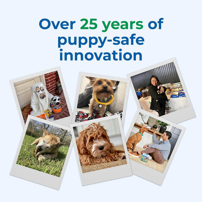 N-Bone Puppy Teething Sticks Variety Pack, Chicken & Pumpkin & Peanut Butter Flavor, Total 3 Bags, 11.22-oz