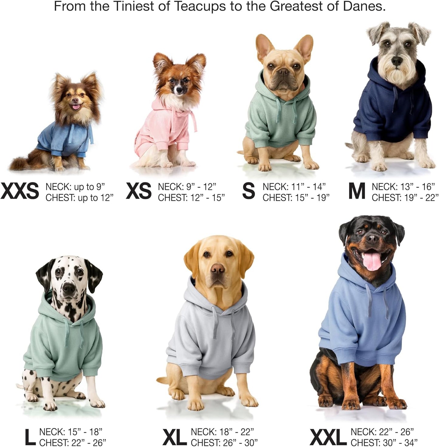 Cooper II Organic Cotton Velour Dog Hoodie Pet Coat for Small, Medium and Large Dogs, Sage, Medium (20-45 lbs)