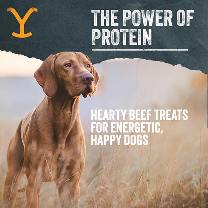 Yellowstone Limited Ingredient Dog Treats Beef Sticks - Healthy Dog Treats Made in USA - Air Dried Beef Collagen Dog Jerky Treats - Crunchy & Chewy Dog Treats - Beef Dog Treats Jerky - 8 oz