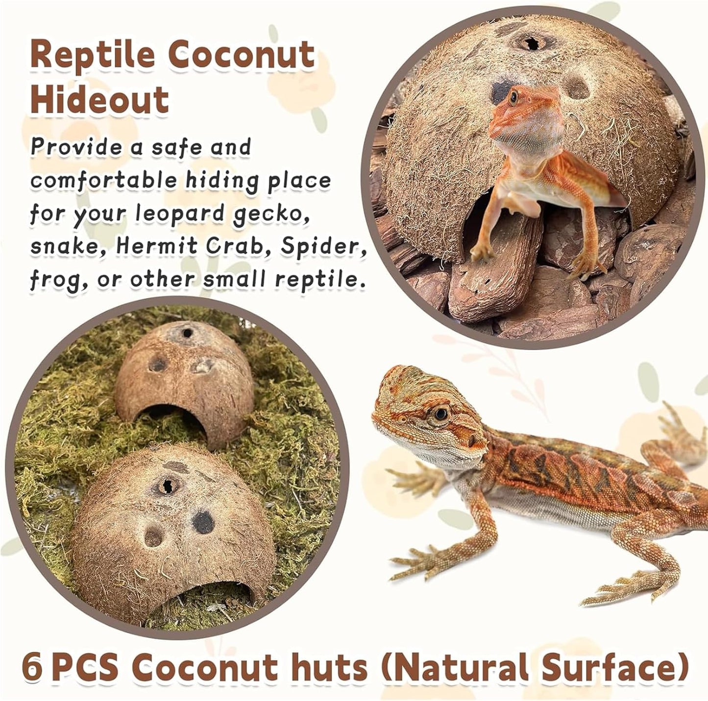PINVNBY Natural Coconut Reptile Hideouts Lizard, Coco Hut Hermit Crab Hut Aquarium Fish Hide Cave for Small Reptile Crested Gecko Leopard Gecko Spider Snail Climber Toys (6 PCS Natural Surface)