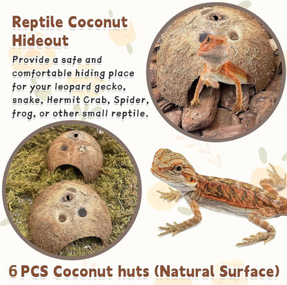 PINVNBY Natural Coconut Reptile Hideouts Lizard, Coco Hut Hermit Crab Hut Aquarium Fish Hide Cave for Small Reptile Crested Gecko Leopard Gecko Spider Snail Climber Toys (6 PCS Natural Surface)
