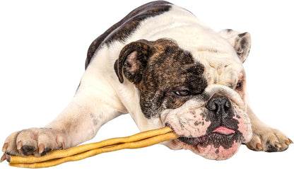 QT Dog Water Buffalo Collagen Stick 12" - All Natural Long Lasting Dog Chews, Single Ingredient, Protein-Packed, Gluten & Grain Free, Odor-Free Dental Chews, Ideal for All Breed Sizes - Banded