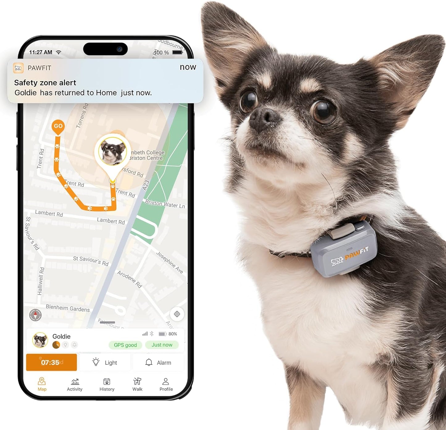 Pawfit Lite for Small Dogs 4g GPS Tracker | Real Time Tracking | Activity Monitoring |Location History | Unlimited Range | Lilac Grey