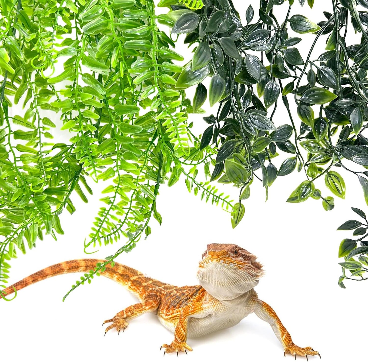 Hamiledyi 5 Pcs Reptile Plants Terrarium Hanging Fake Plant Leaves and Reptile Hide Box Gecko Hideout Cave with Sink Humidifier for Ball Python Bearded Dragon Chameleon Lizard
