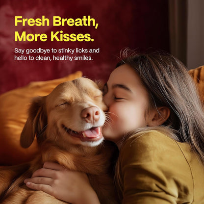 DOCO Dog Teeth Cleaning Wipes Dental Finger Wipes for Cats & Dogs Remove Plaque & Tartar, Freshen Breath, No Rinse, Easy & Effective Pet Tooth Cleaning Kit for Oral Care (Chicken Flavor, 50 Count)