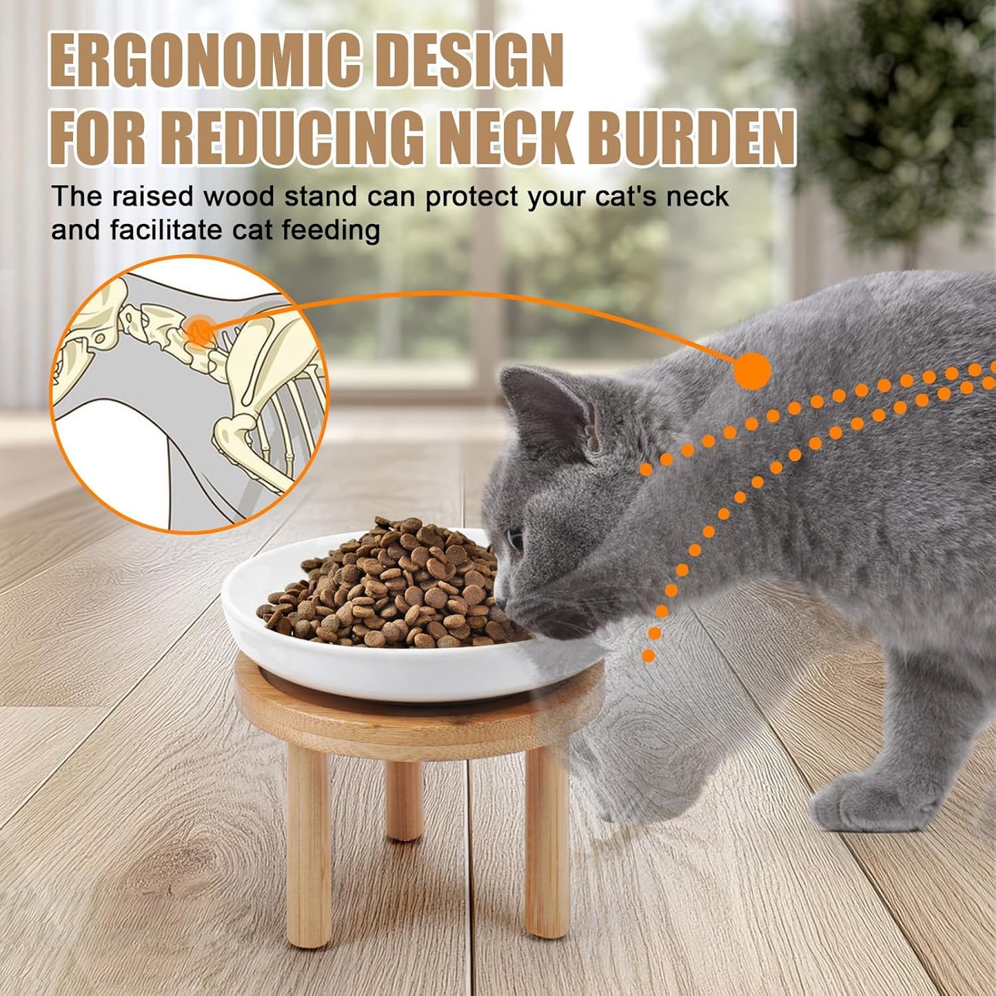 Shallow Elevated Cat Bowls with Bamboo Stand, 5.9 Inch Raised Slow Feeder Cat Bowl and Wide Ceramic Cats Bowls Whisker Friendly, 2 Pack Pet Dishes for Dry and Wet Food Dishwasher Safe