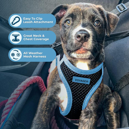 Best Pet Supplies Voyager Step-in Air All Weather Mesh Harness and Reflective Dog 5 ft Leash Combo with Neoprene Handle, for Small, Medium and Large Breed Puppies - Black/Blue Trim, X-Small