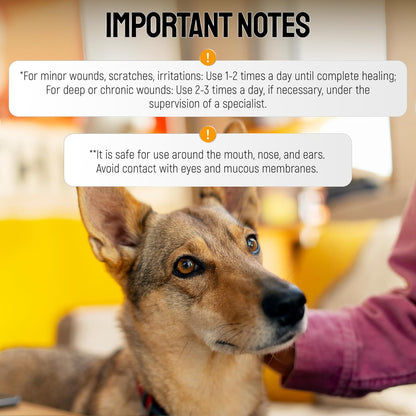 Hot Spot Treatment for Dogs Gel – Safe with Dog Cone – Colloidal Silver – No Antibiotic Ointment for Dog – Cuts, Rashes, Irritations & Bites – Honey Wound Repair Gel – All Breeds – 2 Pack Set x 2 oz