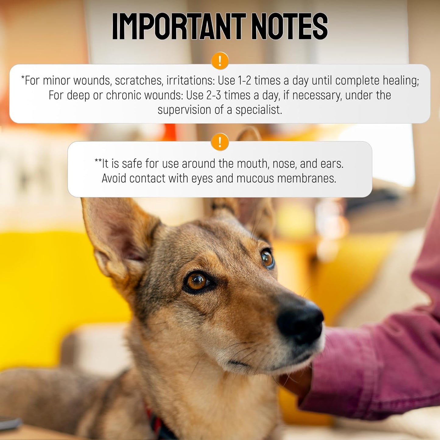 Hot Spot Treatment for Dogs Gel – Safe with Dog Cone – Colloidal Silver – No Antibiotic Ointment for Dog – Cuts, Rashes, Irritations & Bites – Honey Wound Repair Gel – All Breeds – 2 Pack Set x 2 oz