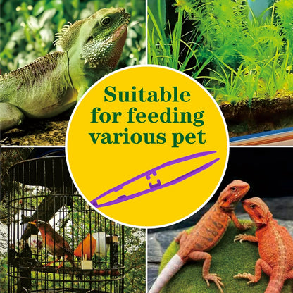 5-Pack Reptile Feeding Tongs Set - Hygienic Anti-Slip Purple Tweezers for Bearded Dragons, Lizards, Snakes, Aquariums & Small Animals(Five Colors to Choose from)
