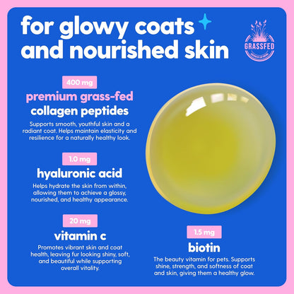 Taily Collagen for Dogs Skin and Coat Supplement, Cats | Taily Liquid Premium Grass-fed Collagen | Itch Relief for Dogs with Allergies, Biotin, Vitamin C and Hyaluronic Acid | Made in USA