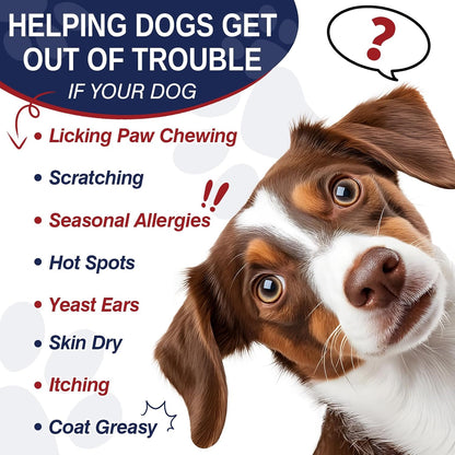 Dog Allergy and Itching Skin Seasonal Allergies Relief Bites Itchy Skin and Itchy Ears Anti Itch Licking Paws Treatment for Dogs