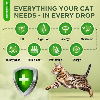 Cat Antibiotic for Infections, UTIs, Respiratory Moments, Cold, & Allergies | Antibiotics for Cats of All Ages & Breeds | Liquid Form | Natural Supplement with Chicken Flavor | 2 Oz