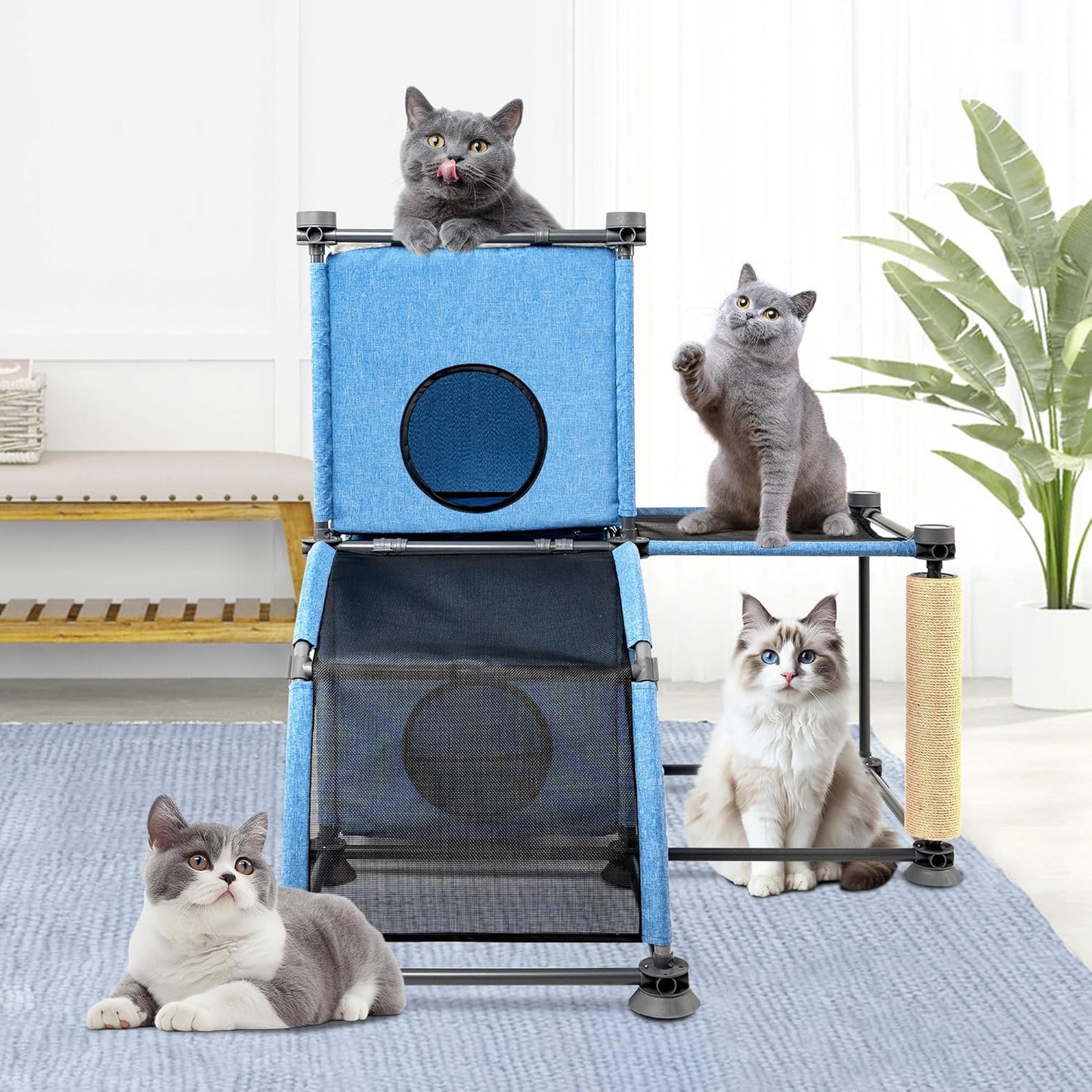 Large Cat Tree with Scratching Post, Ladder & Perches – Multi-Level Cat Climbing Furniture for Indoor/Outdoor Use+Blue/35.43" L x 35.43" W x 37.01" H