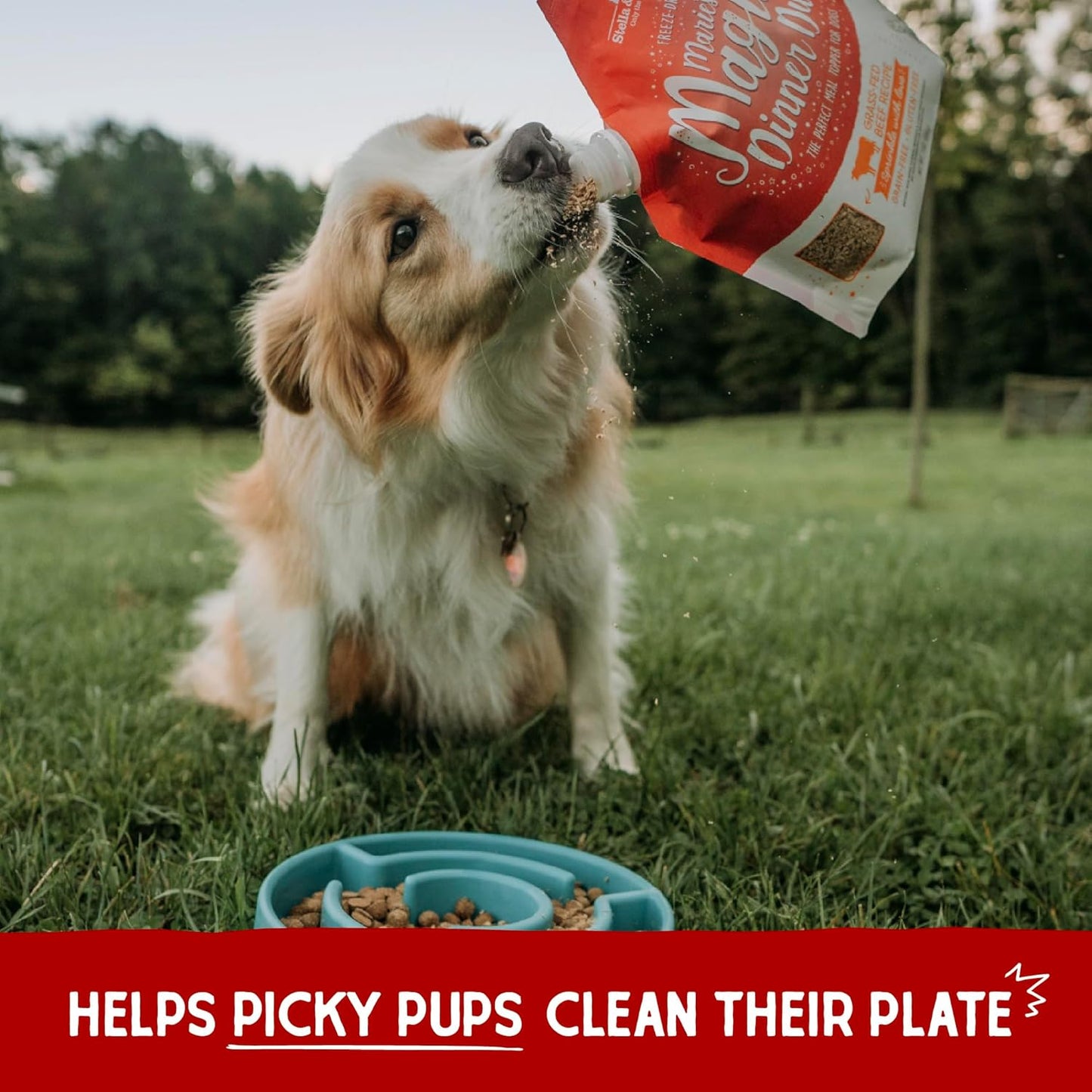 Stella & Chewy's Freeze-Dried Raw Marie’s Magical Dinner Dust - - Premium Beef Dog Food Topper with Organic Fruits & Vegetables - Perfect for Picky Eaters - 7oz