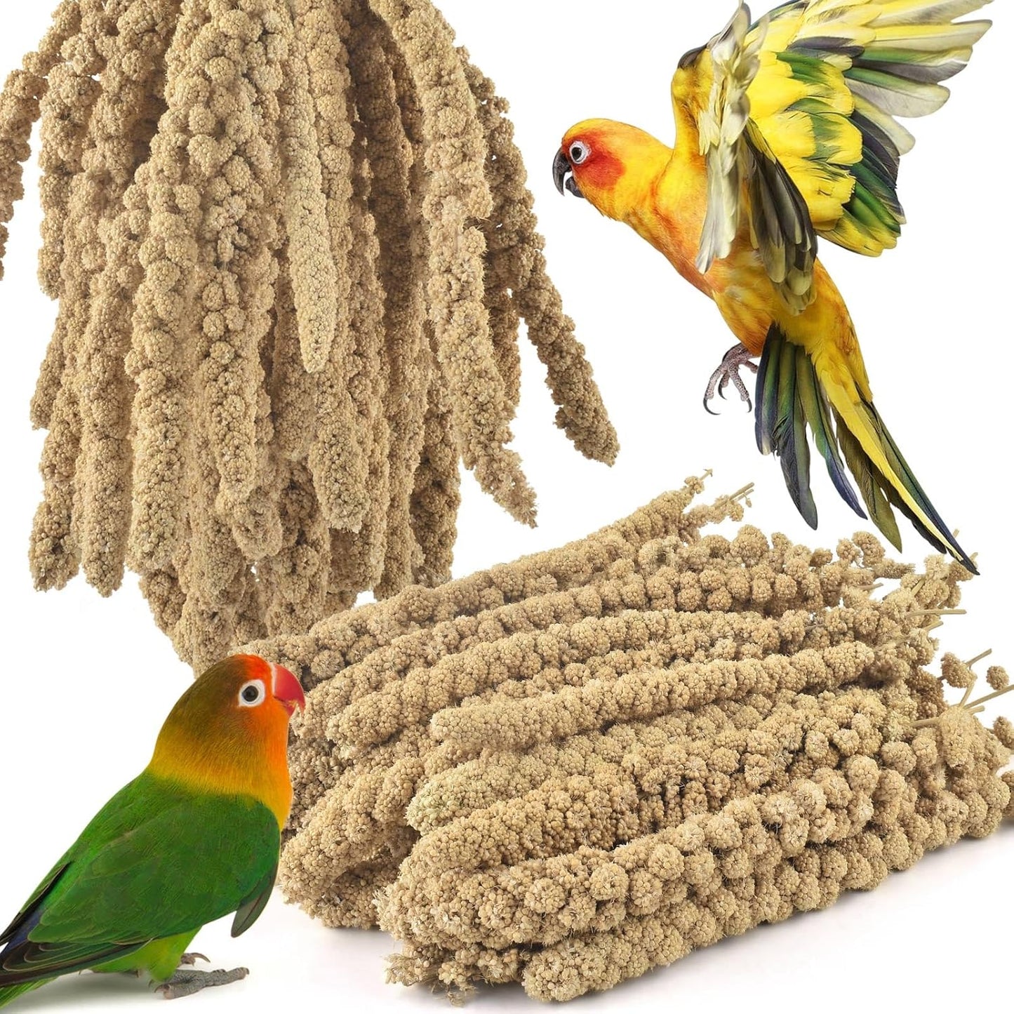 ERKOON 3.5LB Spray Millet Treat, All Natural Sun-Dried Healthy Treat Parrot Food Bird Snack for Parakeets, Lovebirds, Cockatiels, Finches, Budgies, Canaries Hamster, Bird Food Bulk
