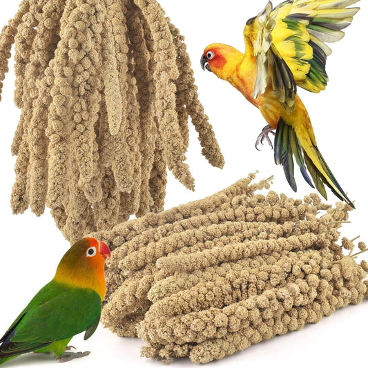 ERKOON 3.5LB Spray Millet Treat, All Natural Sun-Dried Healthy Treat Parrot Food Bird Snack for Parakeets, Lovebirds, Cockatiels, Finches, Budgies, Canaries Hamster, Bird Food Bulk