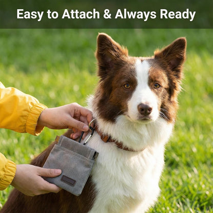 Dog Treat Pouch, Hand Free Dog Training Treat Pouch with Carabiner Portable Auto Closing Pet Walking Bag for Travel or Outdoor Use Pocket Sized Training Holder Pets Feed Snack Reward Pocket (Grey)