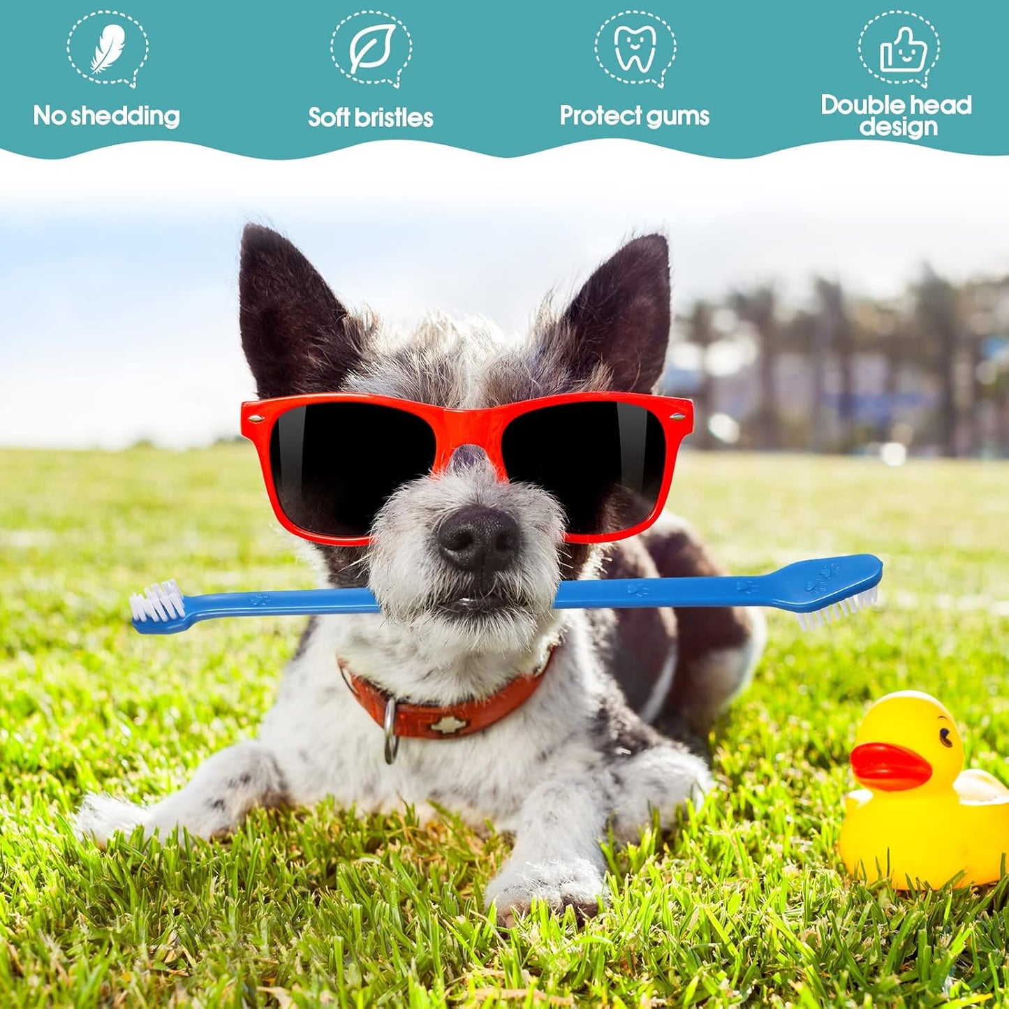 Gerrii 200 Count Dog Toothbrush Double Headed Pet Toothbrush Long Handle Dog Tooth Brushing Kit Soft Bristles Pet Tooth Brush for Doggy Cat and Most Pets Teeth Cleaning Dental Oral(Blue)