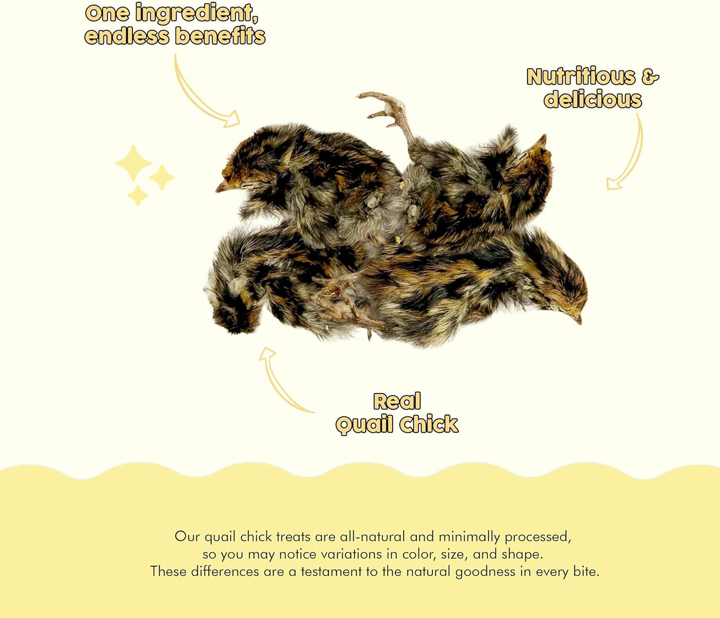 Benji & Louie Freeze Dried Quail Chicks – Whole Prey Treats with Bone, Feather, Feet, Peak – Single Ingredient Snack for Dogs & Cats – (0.88 oz) - 12 Chicks